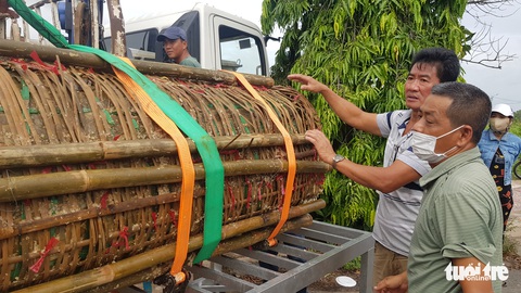 Cận cảnh cặp bánh tét 3,6 tấn dâng cúng Bà Chúa Xứ núi Sam - Ảnh 3. Cận cảnh cặp bánh tét 3,6 tấn dâng cúng Bà Chúa Xứ núi Sam - Ảnh 3.