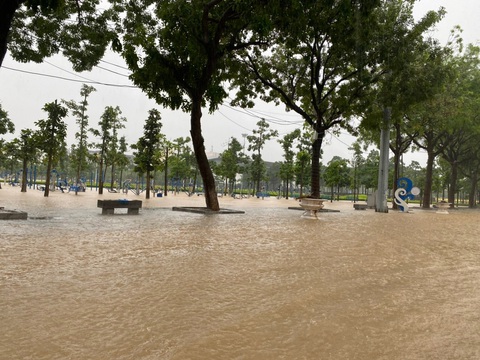 Vĩnh Phúc: Nhiều nơi chìm sâu trong nước, dân ra đường bắt cá, học sinh nghỉ học - Ảnh 10. Vĩnh Phúc: Nhiều nơi chìm sâu trong nước, dân ra đường bắt cá, học sinh nghỉ học - Ảnh 10.