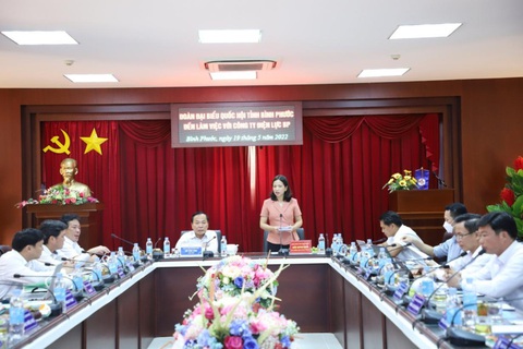 Ghi nhận đóng góp của ngành điện các tỉnh phía Nam - Ảnh 1. Ghi nhận đóng góp của ngành điện các tỉnh phía Nam - Ảnh 1.