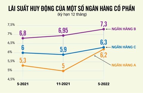Cảnh báo lạm phát cao, cần ngay giải pháp - Ảnh 4. Cảnh báo lạm phát cao, cần ngay giải pháp - Ảnh 4.
