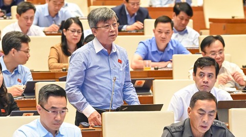 Luật rừng có hại nhưng một rừng luật chất lượng kém, chồng chéo thiệt hại còn nhiều hơn - Ảnh 1. Luật rừng có hại nhưng một rừng luật chất lượng kém, chồng chéo thiệt hại còn nhiều hơn - Ảnh 1.