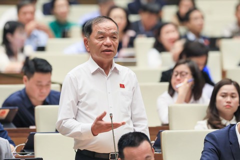 Luật rừng có hại nhưng một rừng luật chất lượng kém, chồng chéo thiệt hại còn nhiều hơn - Ảnh 2. Luật rừng có hại nhưng một rừng luật chất lượng kém, chồng chéo thiệt hại còn nhiều hơn - Ảnh 2.