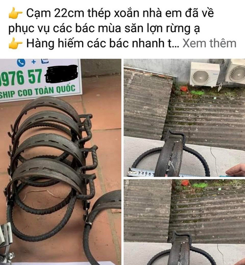 Đi chợ đồ rừng - Kỳ 3: Mèo rừng bị buôn hơn 1.000km ra Bắc - Ảnh 2. Đi chợ đồ rừng - Kỳ 3: Mèo rừng bị buôn hơn 1.000km ra Bắc - Ảnh 2.