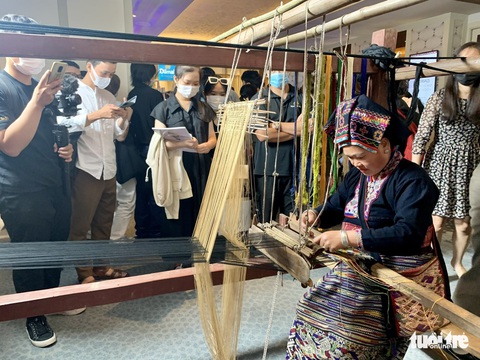 Vải sợi cà phê, sen, hàu - nguyên liệu định hướng thời trang 2022 - Ảnh 1. Vải sợi cà phê, sen, hàu - nguyên liệu định hướng thời trang 2022 - Ảnh 1.