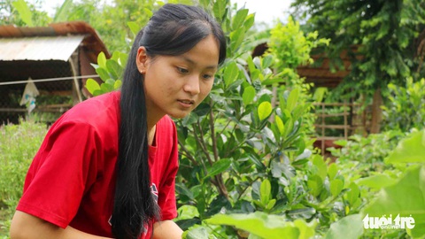 Sinh viên vay vốn với mức vay thấp, thủ tục phức tạp, lãi suất cao - Ảnh 1. Sinh viên vay vốn với mức vay thấp, thủ tục phức tạp, lãi suất cao - Ảnh 1.