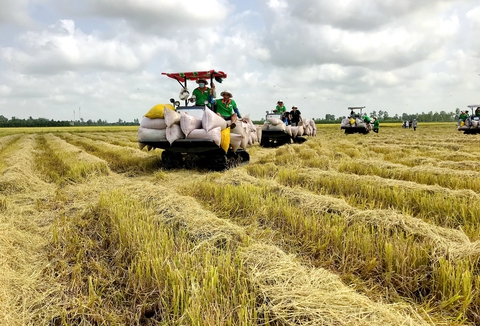 Tăng tốc sản xuất, giữ giá thực phẩm - Ảnh 1. Tăng tốc sản xuất, giữ giá thực phẩm - Ảnh 1.