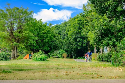 Sống ở Ecopark, trẻ có tuổi thơ gần gũi thiên nhiên - Ảnh 2. Sống ở Ecopark, trẻ có tuổi thơ gần gũi thiên nhiên - Ảnh 2.