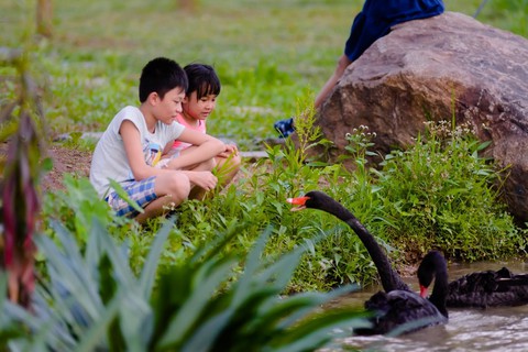 Sống ở Ecopark, trẻ có tuổi thơ gần gũi thiên nhiên - Ảnh 8. Sống ở Ecopark, trẻ có tuổi thơ gần gũi thiên nhiên - Ảnh 8.