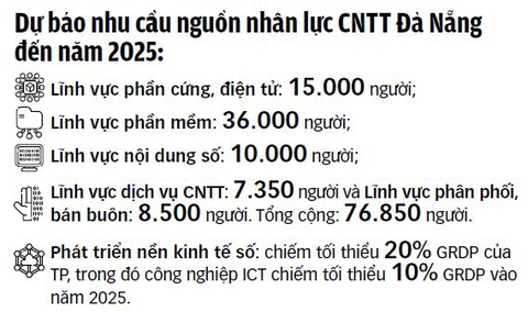 Nâng chất nhân lực công nghệ thông tin và du lịch Đà Nẵng - Ảnh 3. Nâng chất nhân lực công nghệ thông tin và du lịch Đà Nẵng - Ảnh 3.