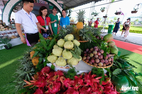 Thủ tướng: Để Việt Nam có vị trí cao hơn trên bản đồ nông nghiệp thế giới - Ảnh 4. Thủ tướng: Để Việt Nam có vị trí cao hơn trên bản đồ nông nghiệp thế giới - Ảnh 4.