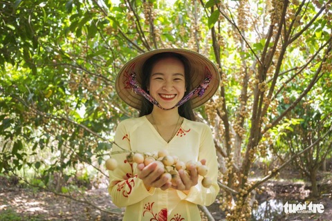 Về Cần Thơ nhớ thăm vườn dâu Hạ Châu thơm ngọt - Ảnh 1. Về Cần Thơ nhớ thăm vườn dâu Hạ Châu thơm ngọt - Ảnh 1.