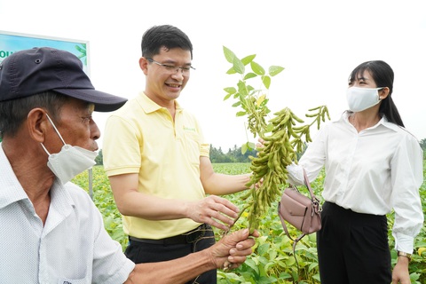 Liên kết sản xuất đậu nành giống Vinasoy 02-NS năng suất cao, tăng hiệu quả kinh tế - Ảnh 1. Liên kết sản xuất đậu nành giống Vinasoy 02-NS năng suất cao, tăng hiệu quả kinh tế - Ảnh 1.