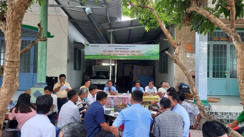 Liên kết sản xuất đậu nành giống Vinasoy 02-NS năng suất cao, tăng hiệu quả kinh tế - Ảnh 4. Liên kết sản xuất đậu nành giống Vinasoy 02-NS năng suất cao, tăng hiệu quả kinh tế - Ảnh 4.