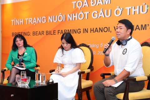 Gần 300 con gấu nuôi trái phép ở Việt Nam: Nơi nào nhiều nhất? - Ảnh 1. Gần 300 con gấu nuôi trái phép ở Việt Nam: Nơi nào nhiều nhất? - Ảnh 1.
