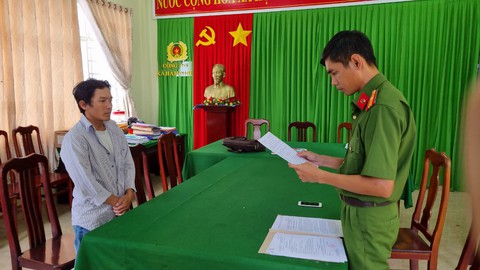 Khởi tố, bắt giam 7 đối tượng phá rừng ở Phú Quốc - Ảnh 1. Khởi tố, bắt giam 7 đối tượng phá rừng ở Phú Quốc - Ảnh 1.