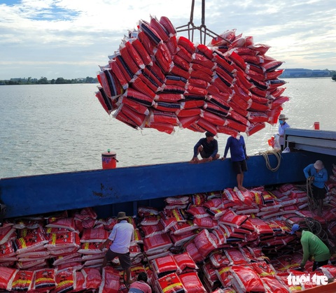 Nhu cầu gạo chất lượng cao ngày càng nhiều ở thị trường ASEAN - Ảnh 1. Nhu cầu gạo chất lượng cao ngày càng nhiều ở thị trường ASEAN - Ảnh 1.