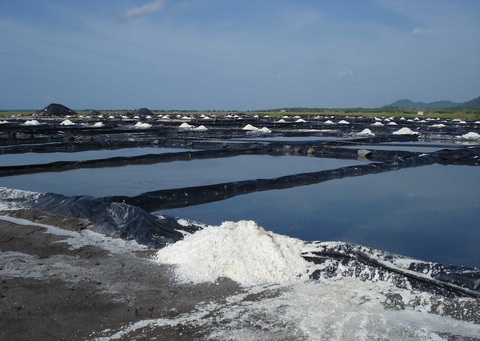 Muối Colima – vàng trắng của nền ẩm thực Mexico - Ảnh 1. Muối Colima – vàng trắng của nền ẩm thực Mexico - Ảnh 1.