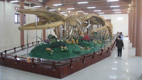 Bí mật 300 năm ngọc cốt Lý Sơn - Ảnh 1. Bí mật 300 năm ngọc cốt Lý Sơn - Ảnh 1.