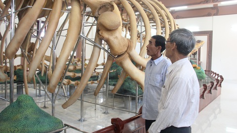 Bí mật 300 năm ngọc cốt Lý Sơn - Ảnh 3. Bí mật 300 năm ngọc cốt Lý Sơn - Ảnh 3.