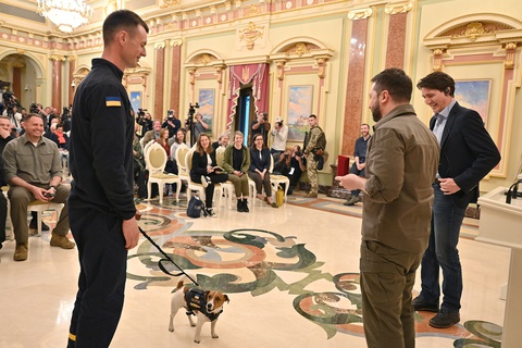 Tổng thống Ukraine trao huy chương cho chó dò mìn - Ảnh 1. Tổng thống Ukraine trao huy chương cho chó dò mìn - Ảnh 1.