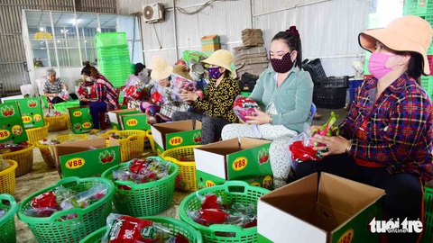 Trái cây ùn ứ, bộ trưởng Bộ NN&PTNT họp khẩn - Ảnh 1. Trái cây ùn ứ, bộ trưởng Bộ NN&PTNT họp khẩn - Ảnh 1.