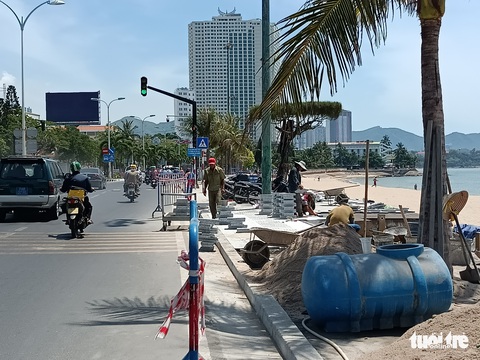Hàng dừa ven đường biển Nha Trang bị đốn hạ, chính quyền nói gì? - Ảnh 4. Hàng dừa ven đường biển Nha Trang bị đốn hạ, chính quyền nói gì? - Ảnh 4.