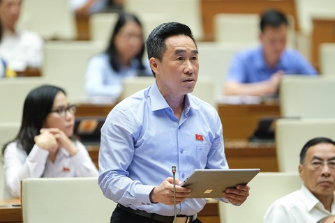 Vốn 10.000 tỉ đồng mới là nhà đầu tư chiến lược ở Vân Phong, liệu có đếm trên đầu ngón tay? - Ảnh 1. Vốn 10.000 tỉ đồng mới là nhà đầu tư chiến lược ở Vân Phong, liệu có đếm trên đầu ngón tay? - Ảnh 1.