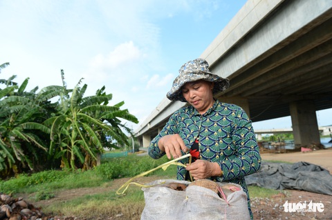 Đường vành đai 3 TP.HCM, vành đai 4 Hà Nội: Không thể trì hoãn thêm - Ảnh 5. Đường vành đai 3 TP.HCM, vành đai 4 Hà Nội: Không thể trì hoãn thêm - Ảnh 5.