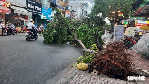 TP.HCM xuất hiện mưa đá, sấm chớp giữa trưa - Ảnh 2. TP.HCM xuất hiện mưa đá, sấm chớp giữa trưa - Ảnh 2.