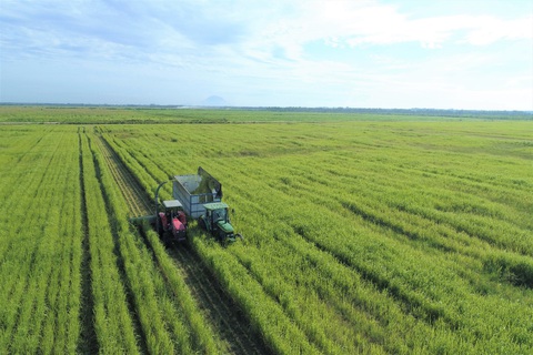 Vinamilk đẩy mạnh xây dựng mô hình phát triển bền vững trong ngành sữa - Ảnh 3. Vinamilk đẩy mạnh xây dựng mô hình phát triển bền vững trong ngành sữa - Ảnh 3.