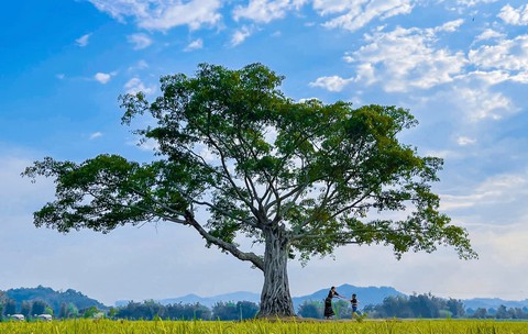 Khám phá mảnh đất Tây Nguyên hoang sơ - Ảnh 1. Khám phá mảnh đất Tây Nguyên hoang sơ - Ảnh 1.