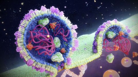 Phát hiện virus bí mật thống trị các đại dương trên khắp thế giới - Ảnh 2. Phát hiện virus bí mật thống trị các đại dương trên khắp thế giới - Ảnh 2.