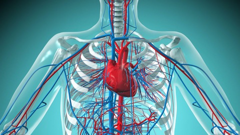 Keo có thể vá mô tổn thương cho người bị đau tim - Ảnh 1. Keo có thể vá mô tổn thương cho người bị đau tim - Ảnh 1.