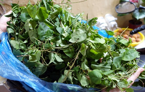 Nhớ nồi canh chua lá giang của ngoại - Ảnh 5. Nhớ nồi canh chua lá giang của ngoại - Ảnh 5.