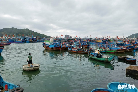 Tàu cá nằm bờ, chờ giá dầu giảm - Ảnh 1. Tàu cá nằm bờ, chờ giá dầu giảm - Ảnh 1.