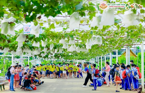 Nông trại Suối Tiên Farm - điểm tham quan du lịch mới lạ và hấp dẫn - Ảnh 1. Nông trại Suối Tiên Farm - điểm tham quan du lịch mới lạ và hấp dẫn - Ảnh 1.