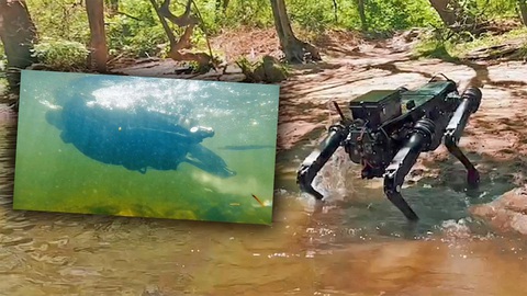 Video chó robot bơi ào ào dưới nước - Ảnh 2. Video chó robot bơi ào ào dưới nước - Ảnh 2.