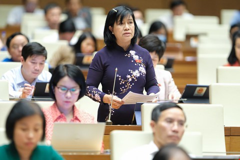 Từng có dự án dầu khí phải trả giá đắt, không nên đầu tư bằng mọi giá - Ảnh 1. Từng có dự án dầu khí phải trả giá đắt, không nên đầu tư bằng mọi giá - Ảnh 1.