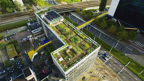 Những hình ảnh ấn tượng về các công trình kiến trúc xanh ở Rotterdam, Hà Lan - Ảnh 4. Những hình ảnh ấn tượng về các công trình kiến trúc xanh ở Rotterdam, Hà Lan - Ảnh 4.