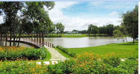 Giới thiệu mô hình phát triển bền vững ngành sữa Việt Nam tại Hội nghị sữa toàn cầu - Ảnh 4. Giới thiệu mô hình phát triển bền vững ngành sữa Việt Nam tại Hội nghị sữa toàn cầu - Ảnh 4.