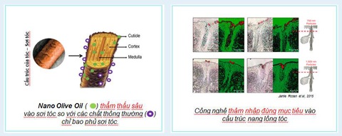 Dầu gội Wakamono chứa hoạt chất nano dầu olive - Ảnh 1. Dầu gội Wakamono chứa hoạt chất nano dầu olive - Ảnh 1.