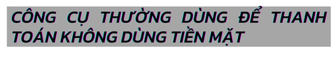 Kết quả khảo sát bạn đọc Tuổi Trẻ về tiêu dùng không tiền mặt - Ảnh 3. Kết quả khảo sát bạn đọc Tuổi Trẻ về tiêu dùng không tiền mặt - Ảnh 3.