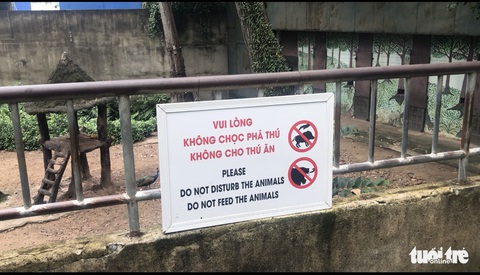 Đười ươi Thảo cầm viên hút thuốc, báo động tình trạng du khách ném đồ vào chuồng thú - Ảnh 3. Đười ươi Thảo cầm viên hút thuốc, báo động tình trạng du khách ném đồ vào chuồng thú - Ảnh 3.