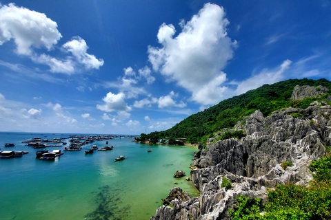 Rái cá ở Hòn Nghệ - Ảnh 2. Rái cá ở Hòn Nghệ - Ảnh 2.