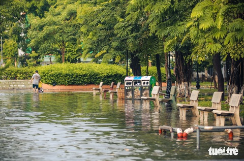 Mưa lớn chiều chủ nhật, nhiều nơi tại TP.HCM lại thành sông - Ảnh 8. Mưa lớn chiều chủ nhật, nhiều nơi tại TP.HCM lại thành sông - Ảnh 8.