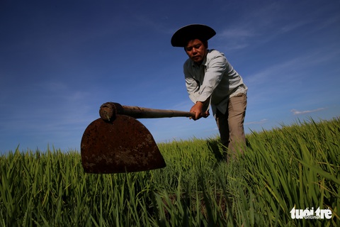 Lớp dạy bơi giữa đồng của thầy giáo làng - Ảnh 4. Lớp dạy bơi giữa đồng của thầy giáo làng - Ảnh 4.