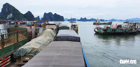 Rà soát, xử lý nghiêm tàu thủy chạy ‘chui’ trên biển Quảng Ninh - Ảnh 1. Rà soát, xử lý nghiêm tàu thủy chạy ‘chui’ trên biển Quảng Ninh - Ảnh 1.
