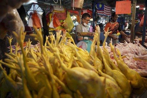 Thịt gà tăng giá dù Malaysia cấm xuất khẩu, người giàu cũng khóc vì bão giá - Ảnh 1. Thịt gà tăng giá dù Malaysia cấm xuất khẩu, người giàu cũng khóc vì bão giá - Ảnh 1.