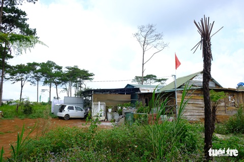 Cưỡng chế thu hồi đất rừng thông bị lấn chiếm dọc quốc lộ 28 - Ảnh 2. Cưỡng chế thu hồi đất rừng thông bị lấn chiếm dọc quốc lộ 28 - Ảnh 2.