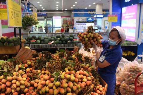Vải thiều vào siêu thị tươi ngon, chất lượng - Ảnh 1. Vải thiều vào siêu thị tươi ngon, chất lượng - Ảnh 1.